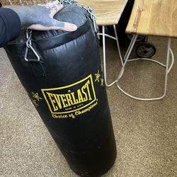 Everlasting Punching Bag