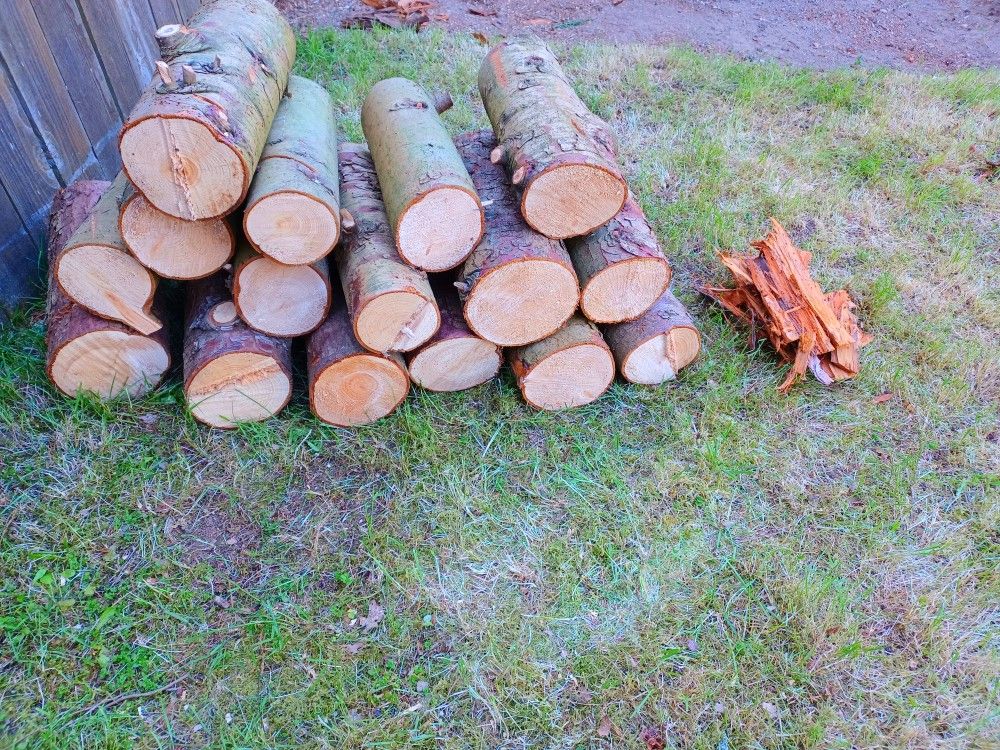Seasoned Cedar Wood Logs