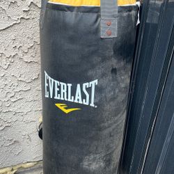 Punching Bag (Dirty But Like New )