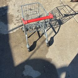 Carrot De Mandatory Para Ninos