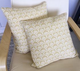 Down Filled Pillows/Cushions