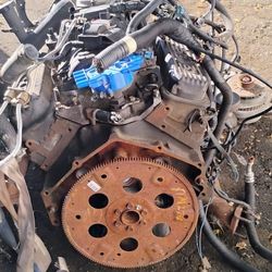 Motor And Wire Harness 