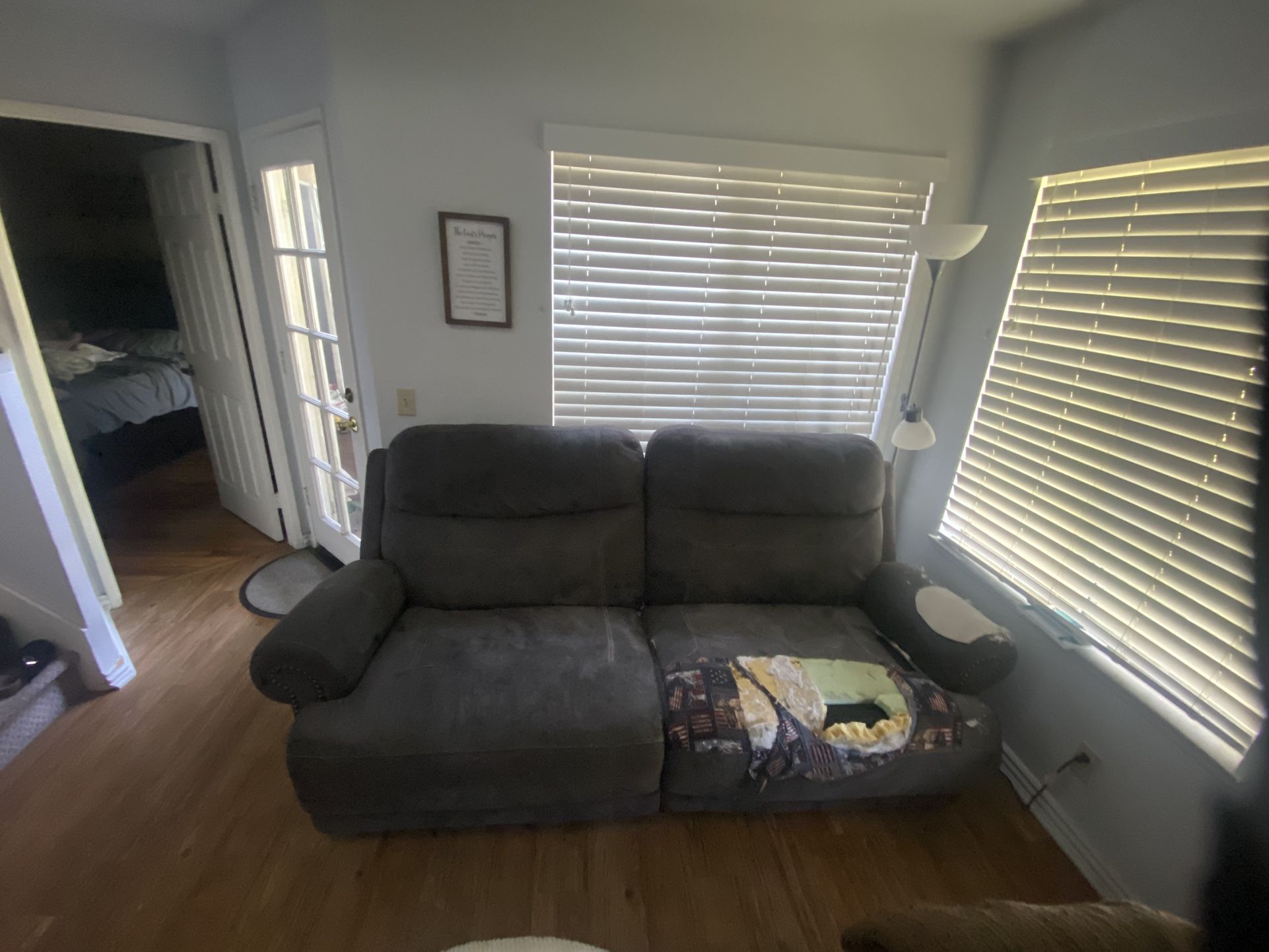 Free - Electric Reclining Couch