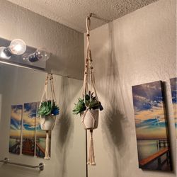 Hanging Faux Succulent 