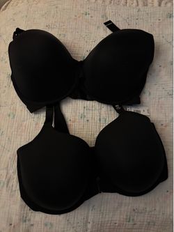 Torrid Bras