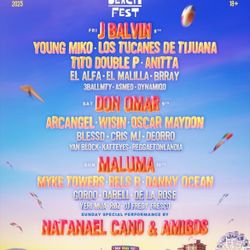 Baja Fest Ticket
