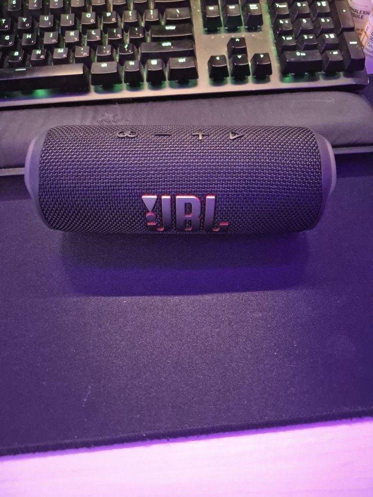 JBL Flip 6