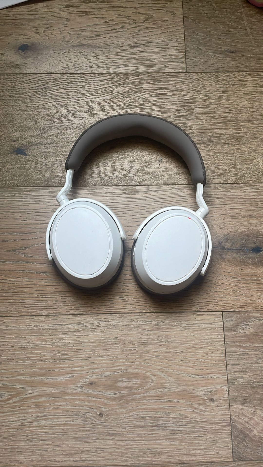 Momentum Headphones