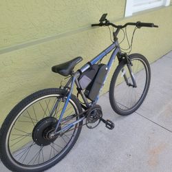 Electric Bike