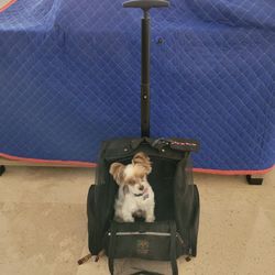 Dog Carrier On Wheels 