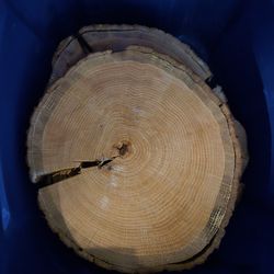 Wooden Discs Fall Centerpiece Holders Wedding 