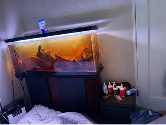 75 gallon fish tank