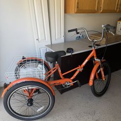 Adult Tricycle 