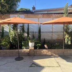 Umbrellas With Bases