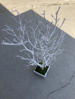 Wooden tree decor