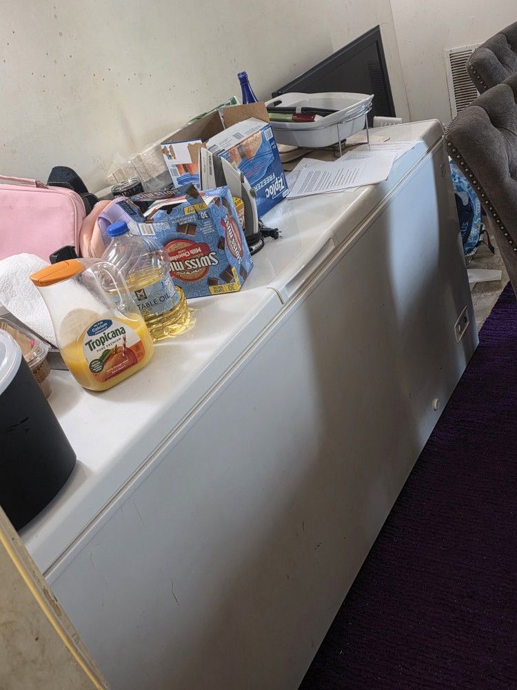 Large Freezer (18.5 Cft)