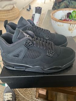 Black Cat 4’s 2025