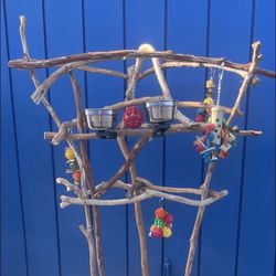 Short N Cute Parrot Perch Tree - The Great Socializer For Your Mr Feathers !! 💯