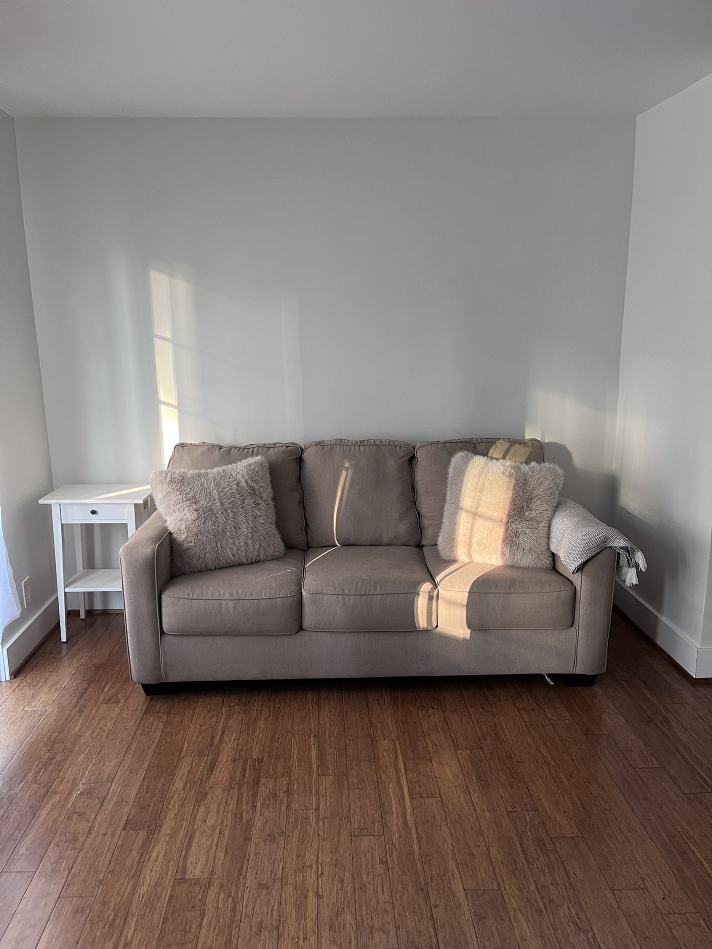 Couch//Pull Out Bed 