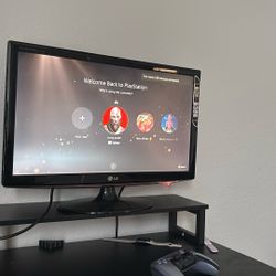 LG Gaming Monitor 