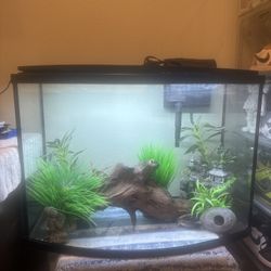 36 Gallon Fish Tank 
