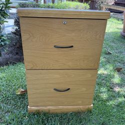 Oak Veneer 2-Drawer File Cabinet 