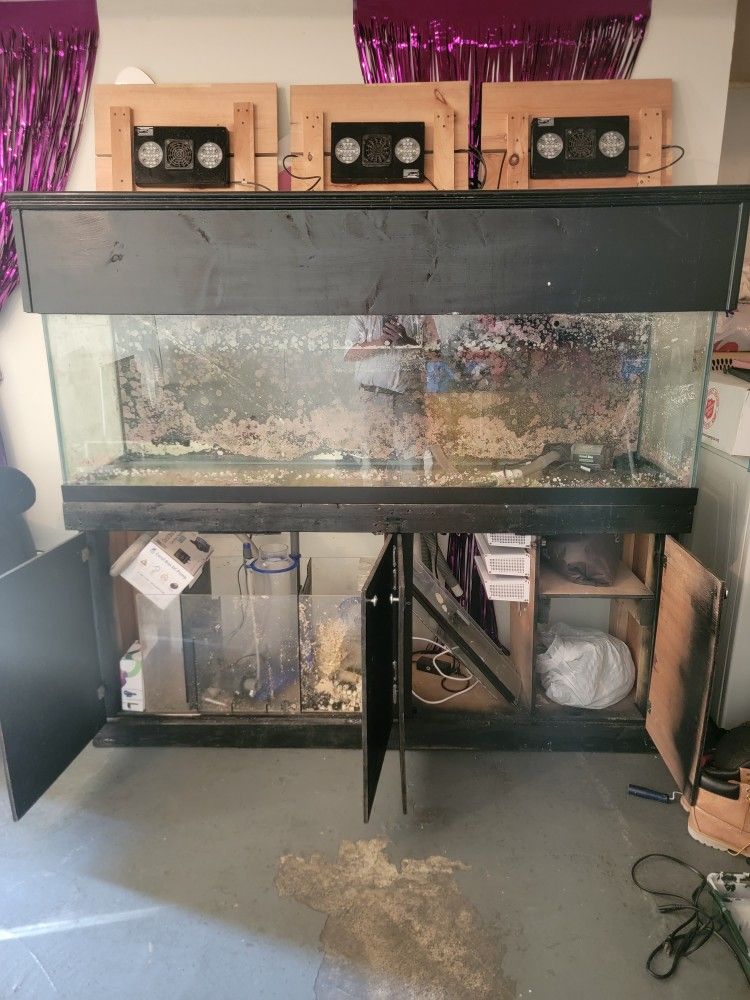 125 Gallon Fish Tank Canopy And Stand.