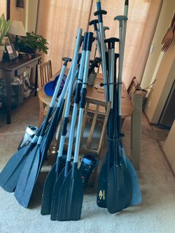 Paddles 2/$40