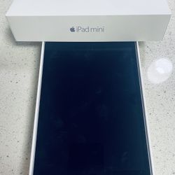 iPad Mini 