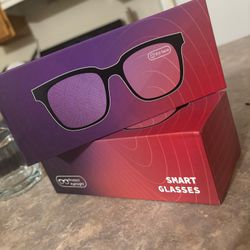 AI Smart Glasses 