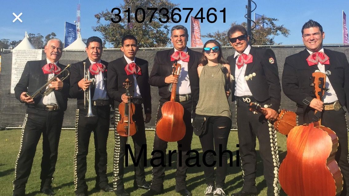 Trompetas Vihuela De Mariachi