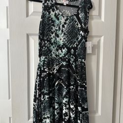 Women’s Dresses Size Different Start 