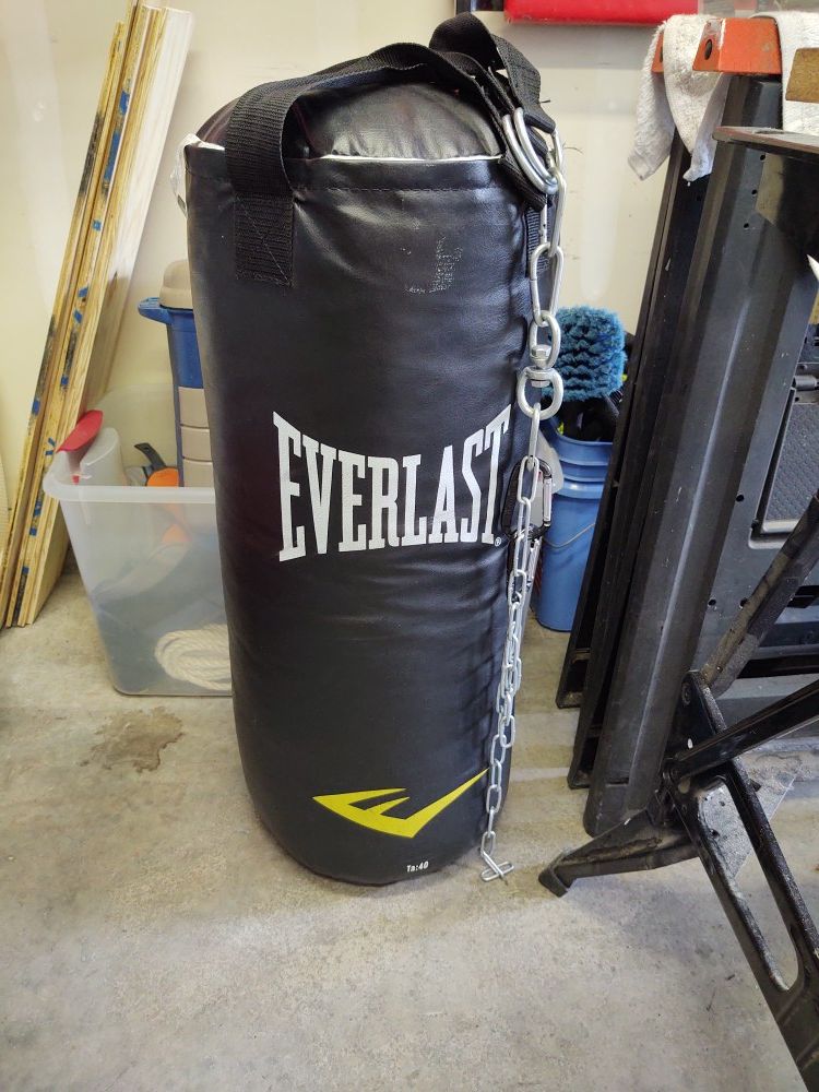 Everlast punching bag