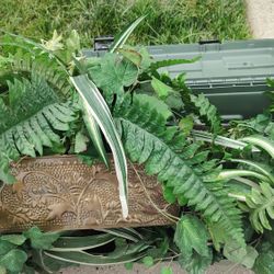Artificial House Plants In Nice Tin Planter