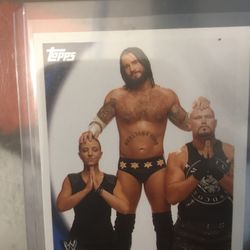 Straight Edge Society 2010 Topps WWE Card #76 AEW w/ CM Punk & Serena Deeb