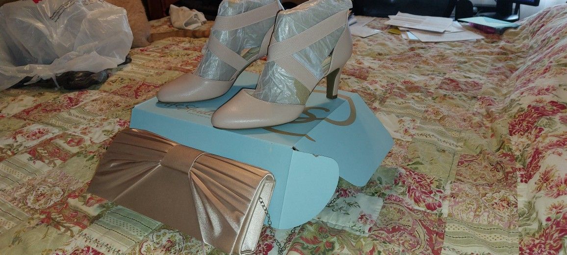Blush Color Dress Shoes With Matching Clutch