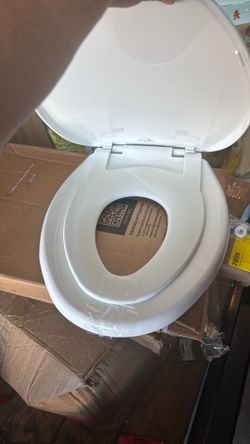 Toddler Toilet Seat Training