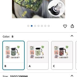 Stainless steal Tea kettle 
