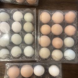 Farm fresh eggs from free range hens