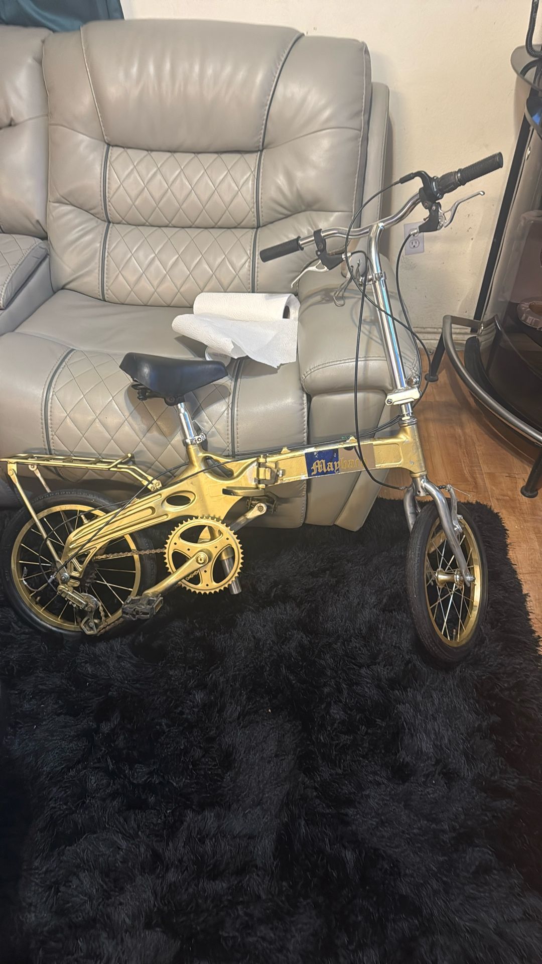 Fold Up Bike 5speed I