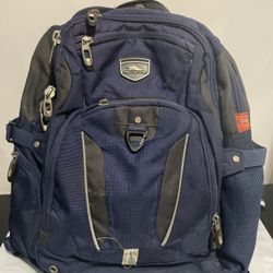 High Sierra Backpack Padded Elite Blue Bag Travel Work School Hiking 16” 
