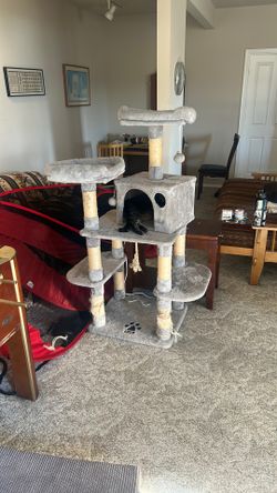 cat tree