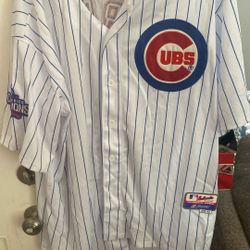 Craig 2016 Cubs World Series Jersey 