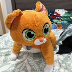 Sox Cat