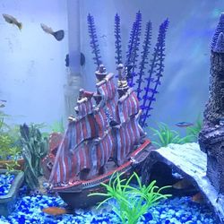 Aquarium pirate ship