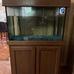 Fish Tank