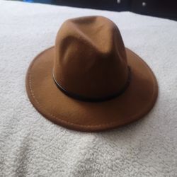 Summer Brown Hat