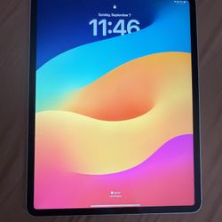 iPad Pro 13”