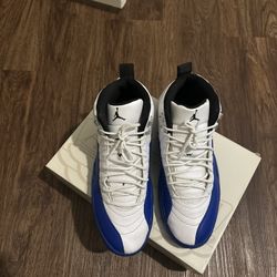 Jordan Blueberry 12s