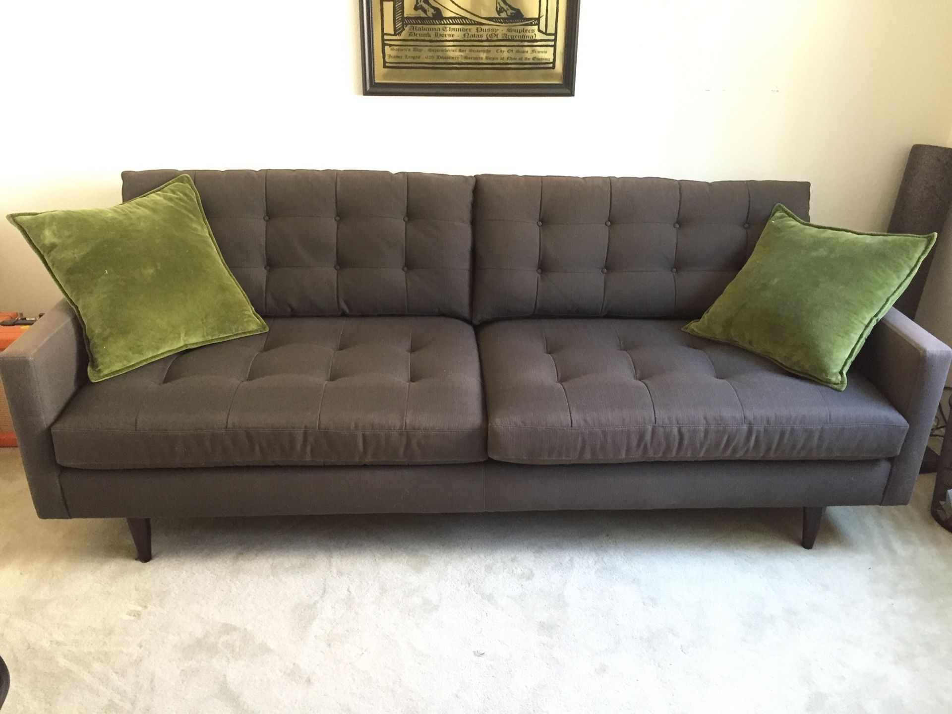 Crate and Barrel Petrie Midcentury Sofa